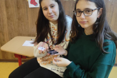 PHOTO-2023-12-13-16-36-11_12