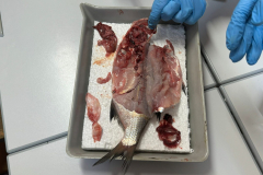 PHOTO-2023-12-12-15-00-20