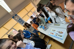 PHOTO-2023-12-12-15-00-23